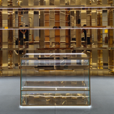 Stainless steel/glass display table